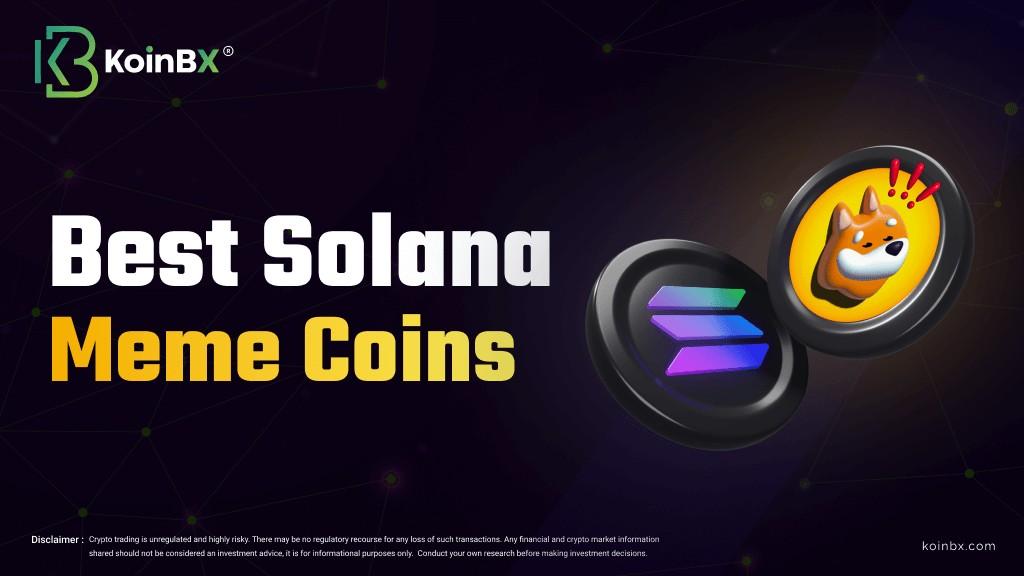 Best Solana meme coins to watch out KoinBX - Main Image