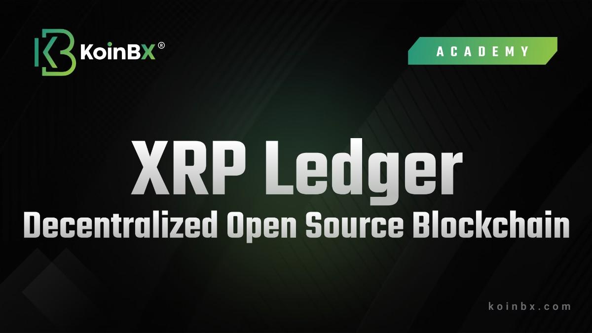 The Power of XRP Ledger: A Comprehensive Introduction