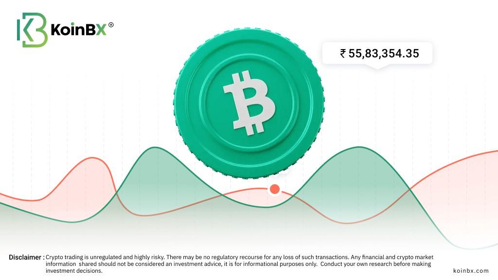 Bitcoin Price Should We Buy Bitcoin Should I Buy Bitcoin Now 2019